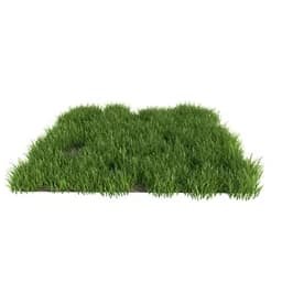 植物草地 (146)