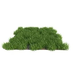 植物草地 (147)