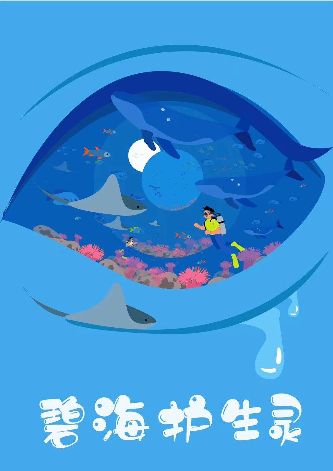 海