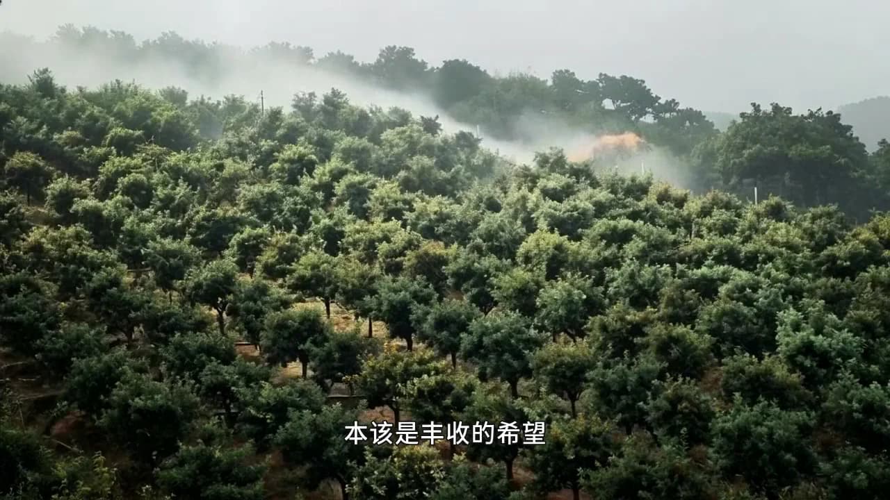 路与心的抉择-